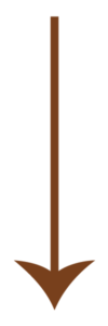 A brown arrow pointed downwards